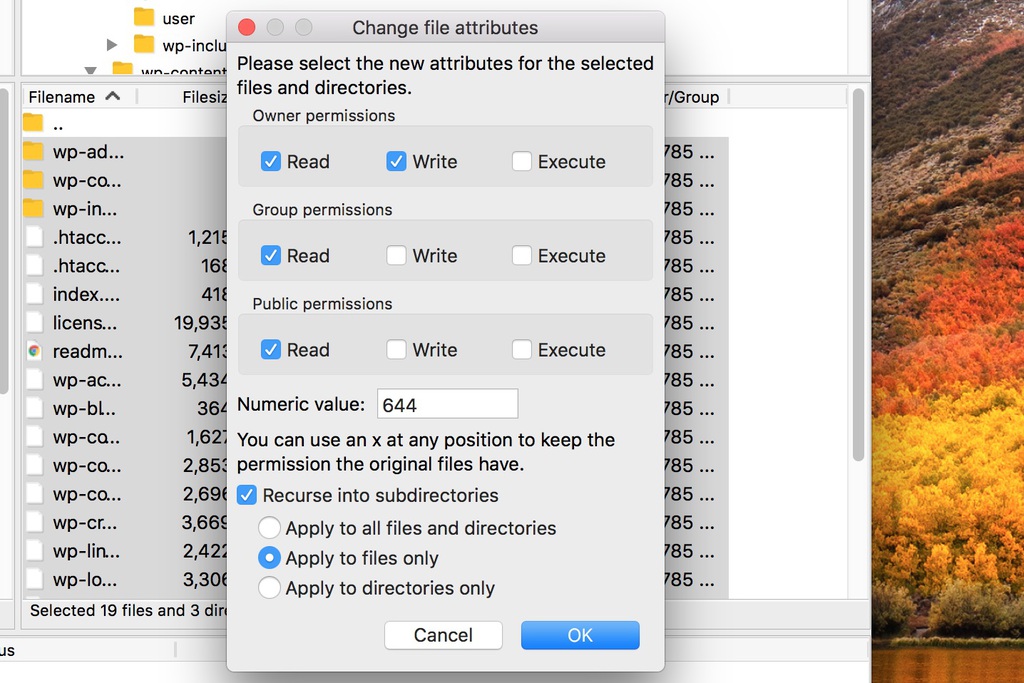 FileZilla change file attribute window set to apply to files only screenshot