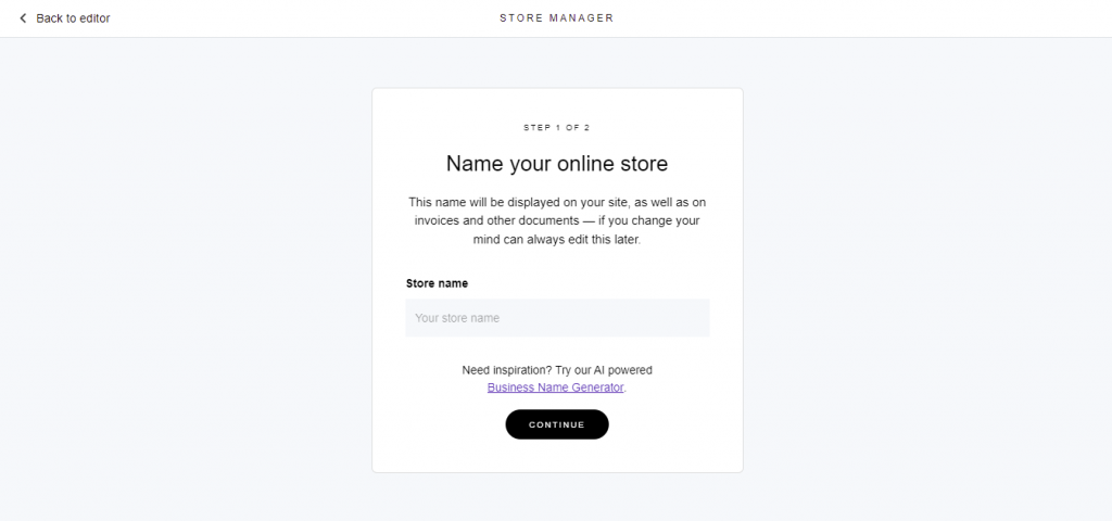 Naming the Zyro online store