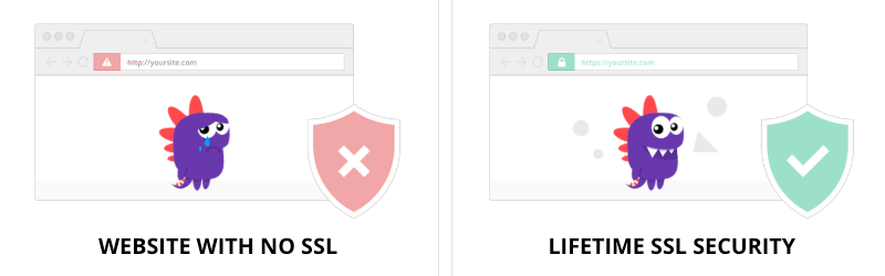 Website with and without SSL/TLS