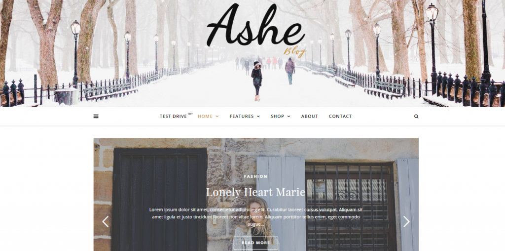 Ashe Free WordPress Blog Theme