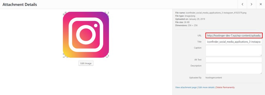 Instagram logo WordPress media library details