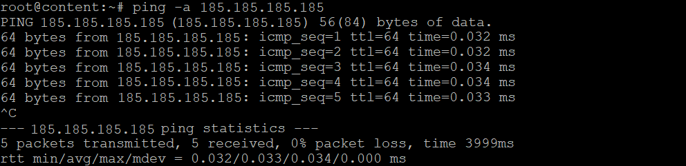 The ping output with the -a option
