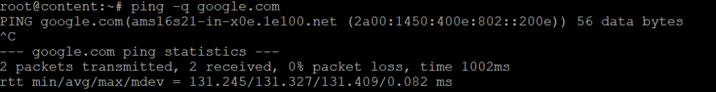 The ping output with the -q option