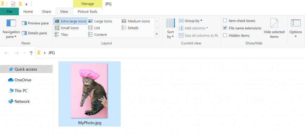Window showing the picture after its  file name extension has been fixed.