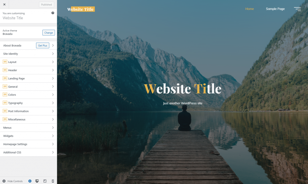 Customizing the website title of the chosen WordPress theme
