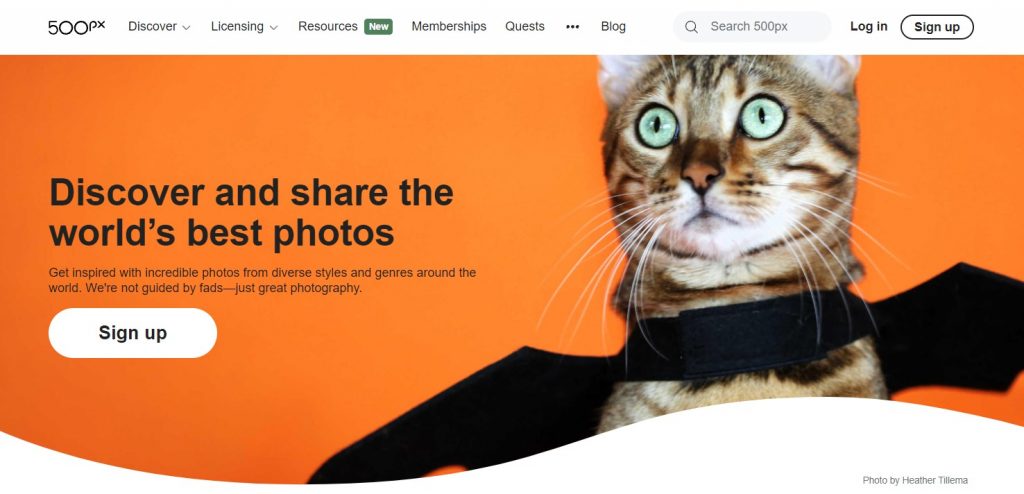 500px homepage