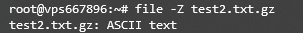 View the type of a file using the Linux file command on Terminal