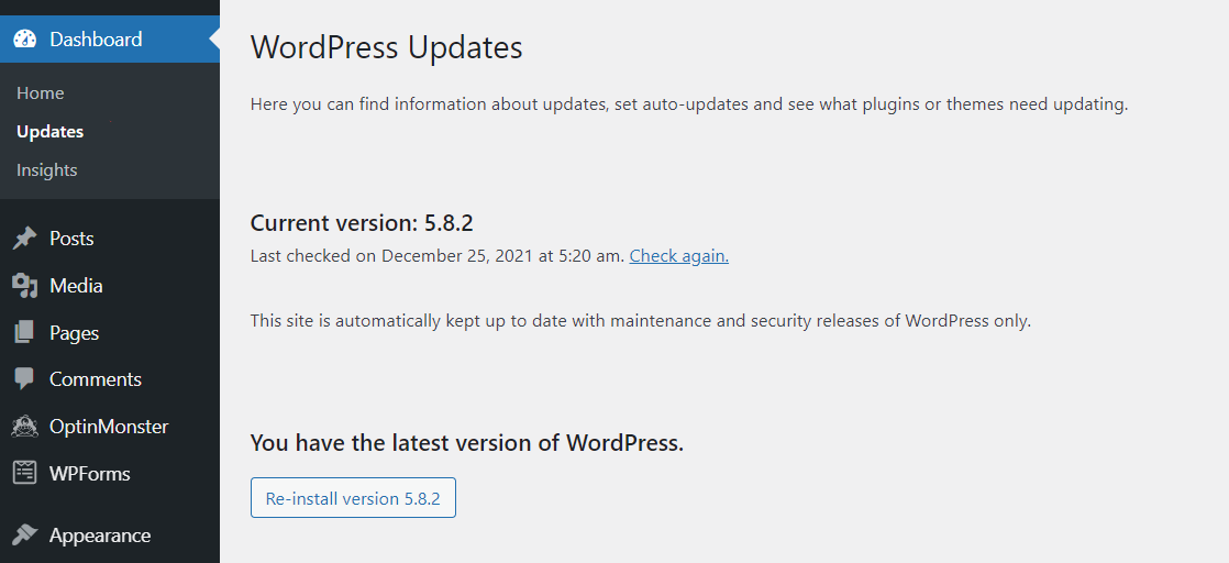 Screenshot of the WordPress Dashboard updates tab