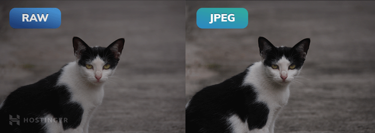 Side-by-side comparison of an image in RAW and JPEG.