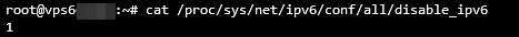 Terminal output while checking IPv6 status
