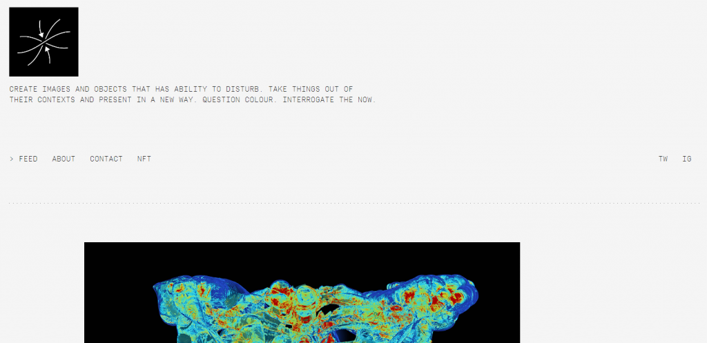 A screenshot of Savas Ozay's website with a monochromatic color scheme.
