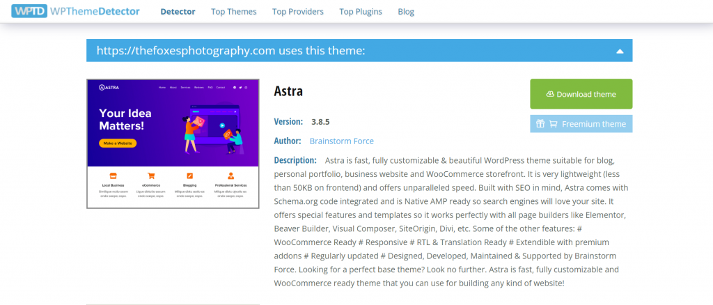 WP Theme Detector tool displays the theme author, version, and description