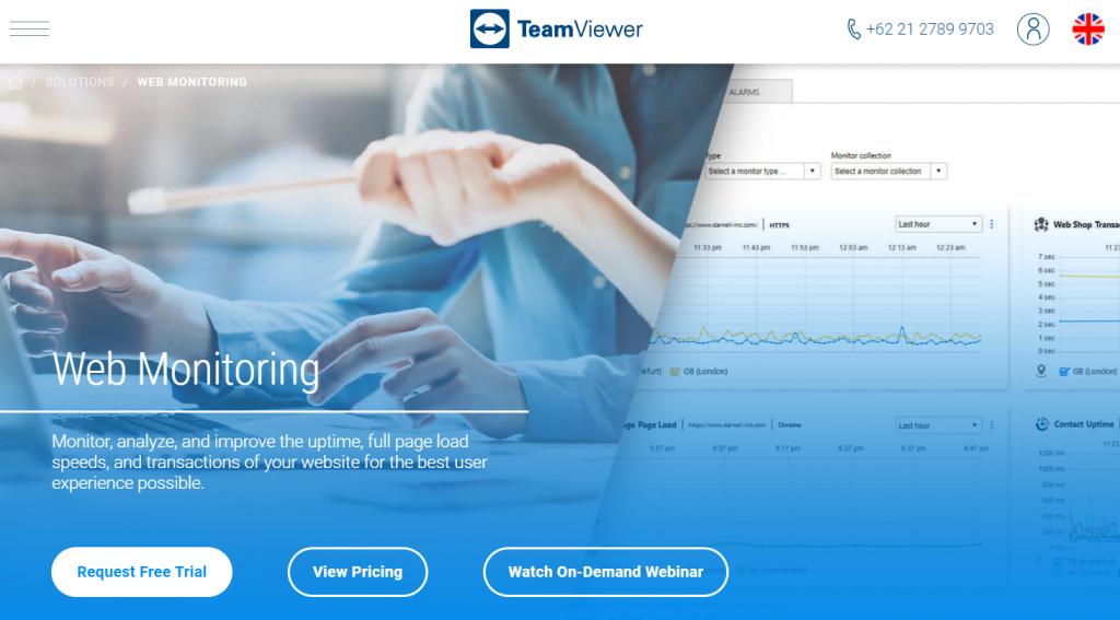 TeamViewer web monitoring tool landing page screenshot