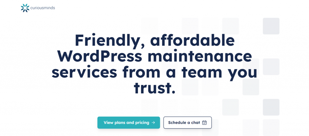 Curious Minds: Friendly, Affordable WordPress Maintenance Services From a Team You Trust