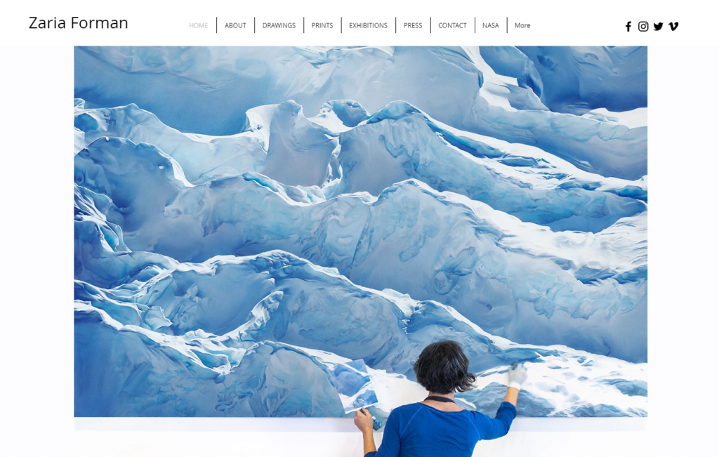 Zaria Forman's homepage